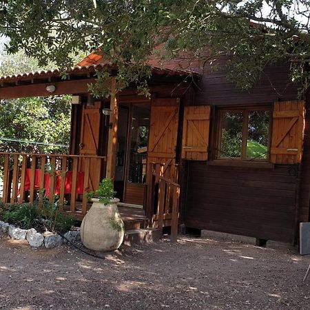 Chalet Bati 보니파시오 외부 사진